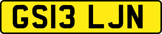 GS13LJN