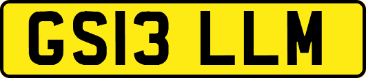 GS13LLM