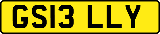 GS13LLY