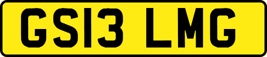 GS13LMG