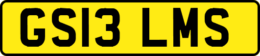 GS13LMS