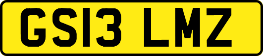 GS13LMZ