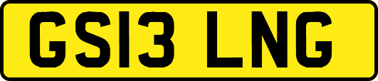 GS13LNG