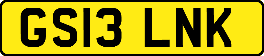 GS13LNK