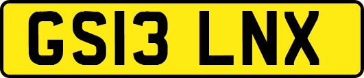GS13LNX