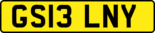 GS13LNY