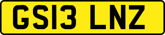 GS13LNZ
