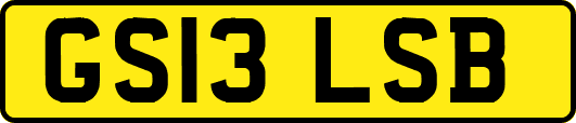 GS13LSB