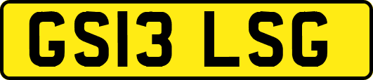 GS13LSG
