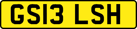 GS13LSH