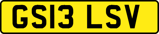 GS13LSV