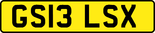 GS13LSX