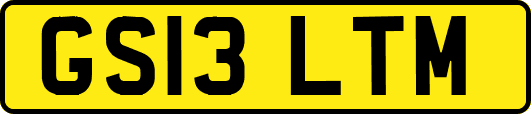 GS13LTM