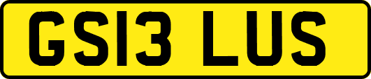 GS13LUS