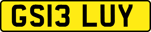 GS13LUY