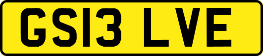 GS13LVE