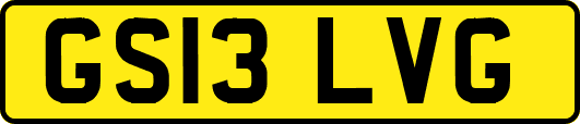 GS13LVG