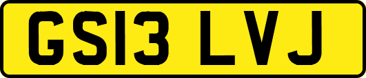 GS13LVJ
