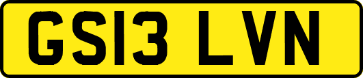 GS13LVN