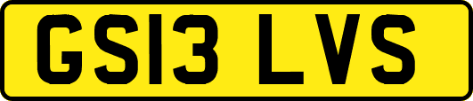 GS13LVS