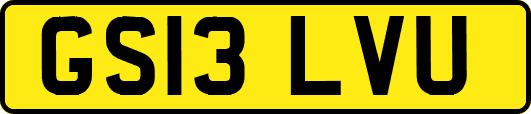 GS13LVU