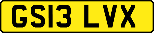 GS13LVX