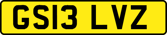GS13LVZ