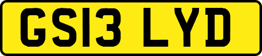 GS13LYD