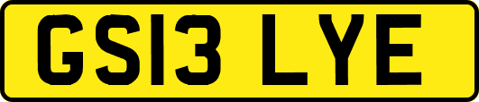 GS13LYE