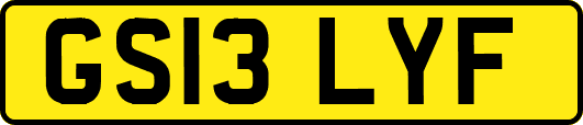 GS13LYF
