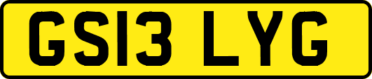 GS13LYG