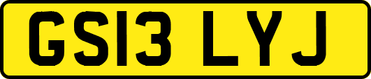 GS13LYJ