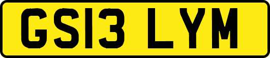 GS13LYM