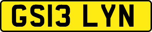GS13LYN