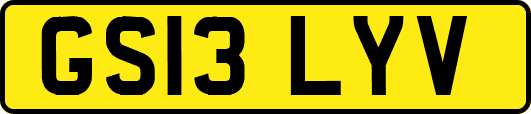 GS13LYV