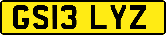 GS13LYZ
