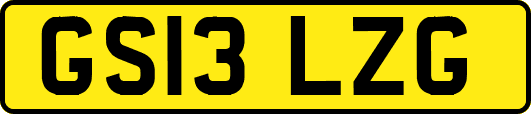 GS13LZG