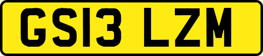 GS13LZM