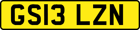GS13LZN