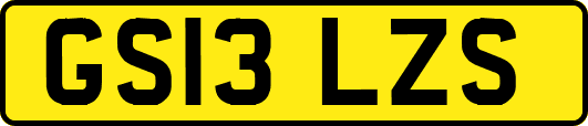 GS13LZS