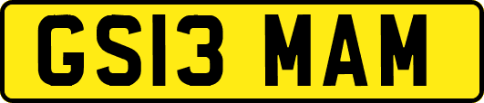 GS13MAM