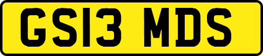 GS13MDS