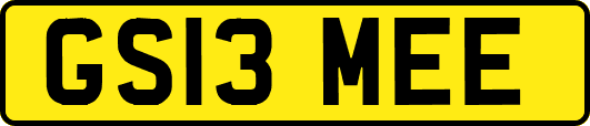 GS13MEE