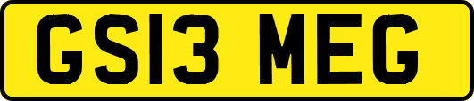 GS13MEG