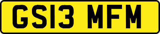 GS13MFM