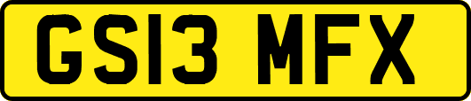 GS13MFX