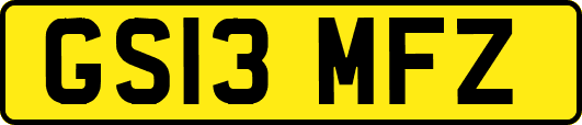 GS13MFZ