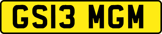 GS13MGM