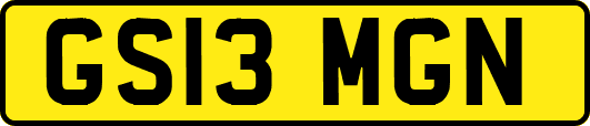 GS13MGN