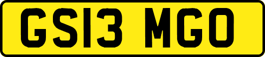 GS13MGO
